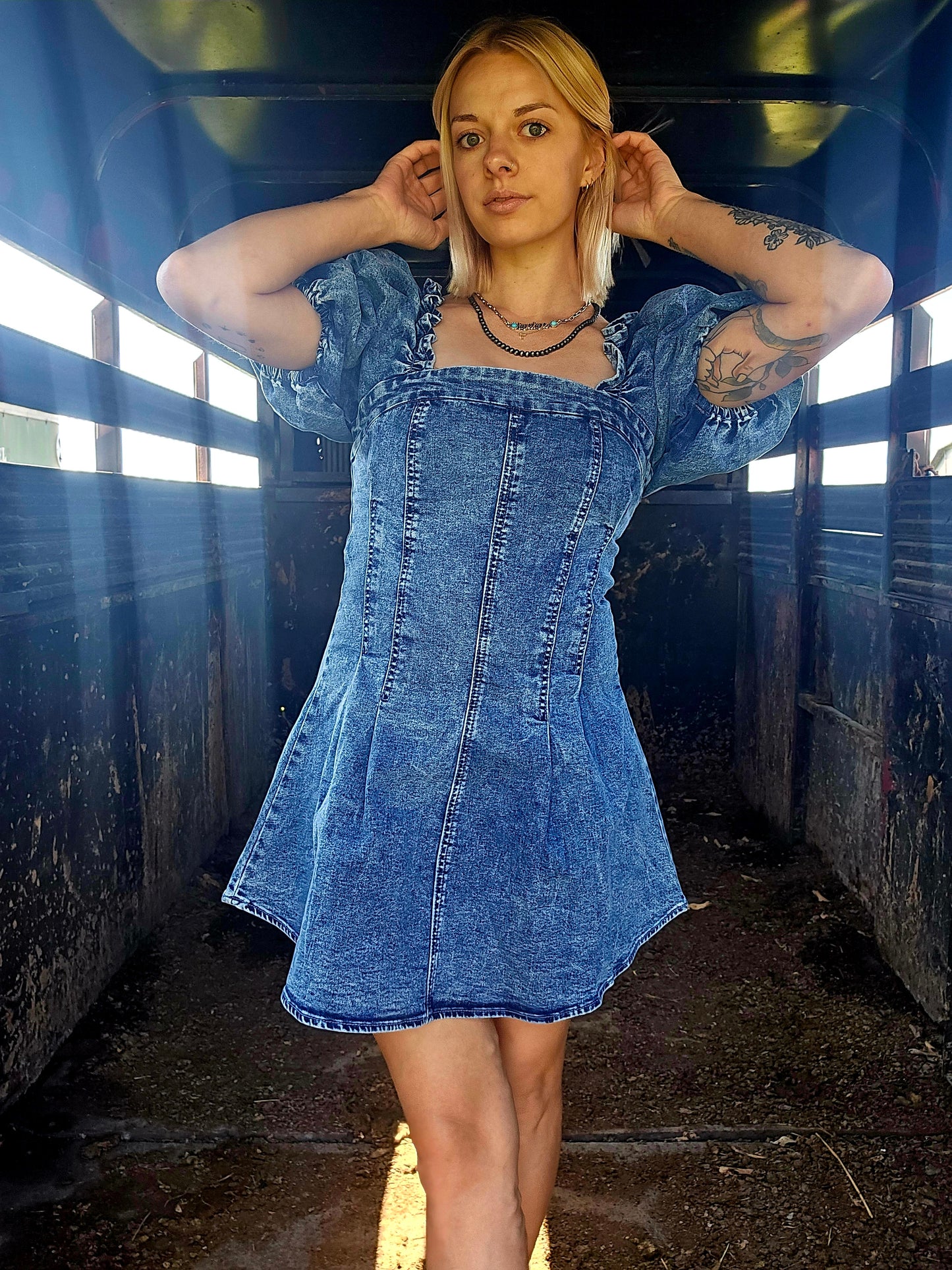 Denim Rosa Dress