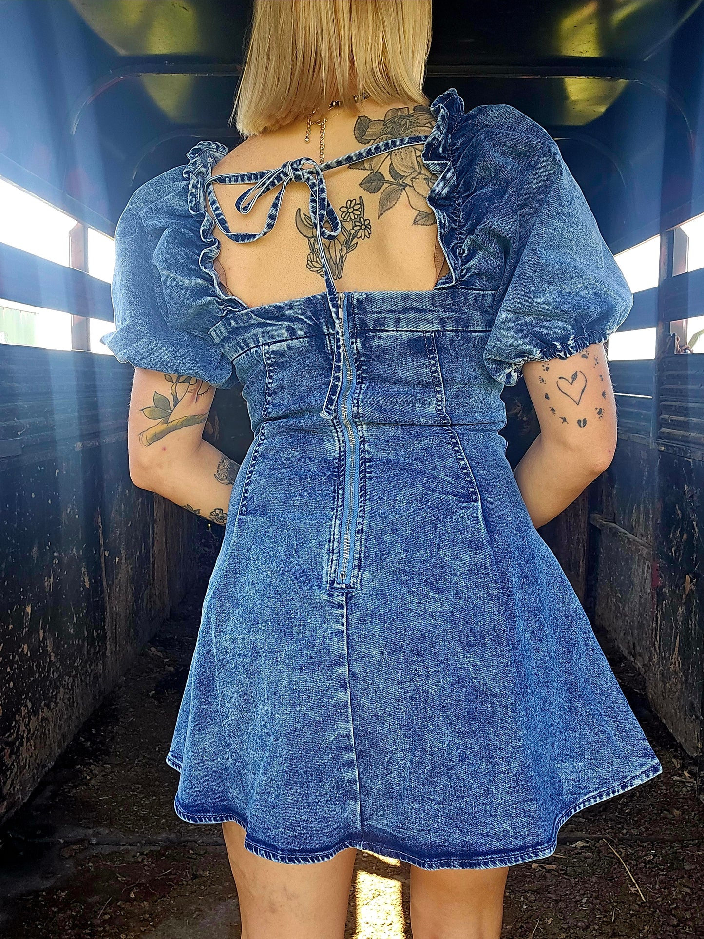 Denim Rosa Dress