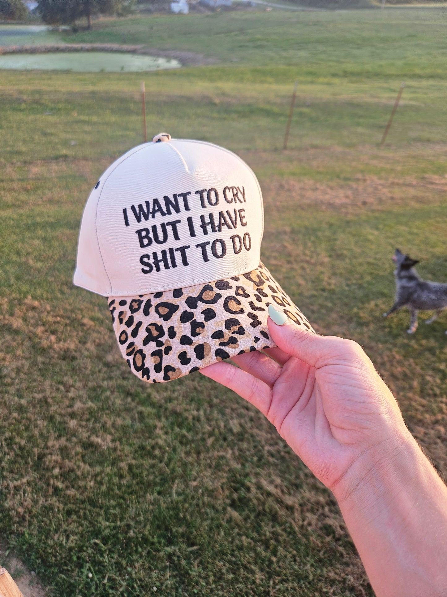 I Want To Cry But I Have Shit To Do Hat