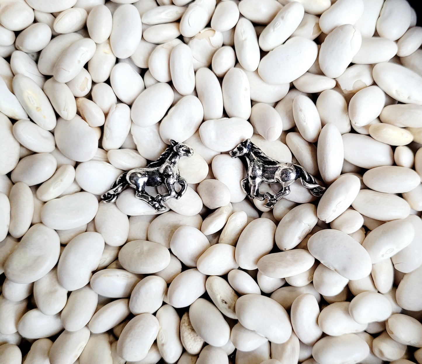 Silver Horse Studs