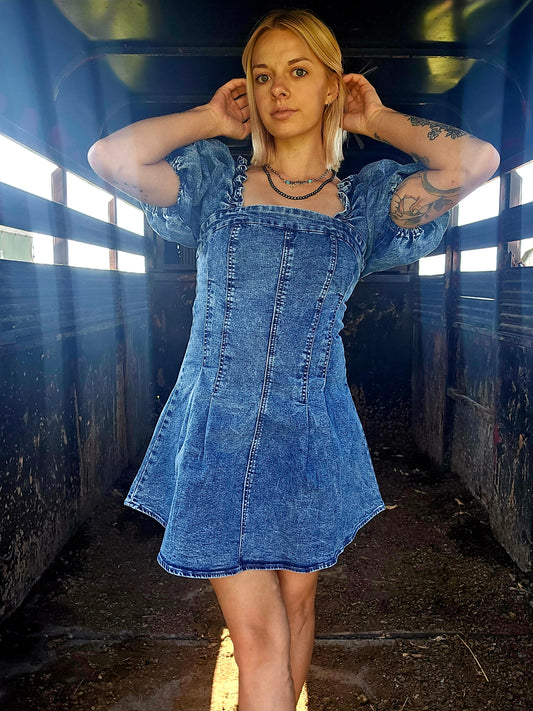 Denim Rosa Dress